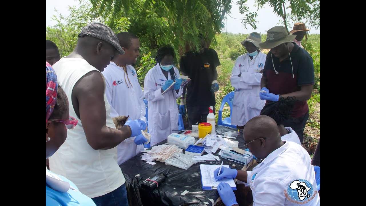 An Institute Of Primate Research Documentary on Bats Disease Surveillance, Coastal Region, Kenya