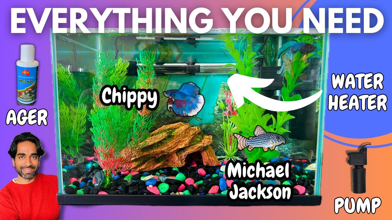 Budget Fish Tank Setup for Beginners: Supplies and Cleaning Tips (Kmart)