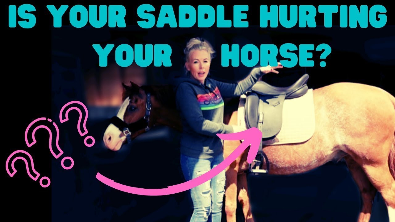 Does your saddle HURT your horse? The signs that you need a saddle fitter!