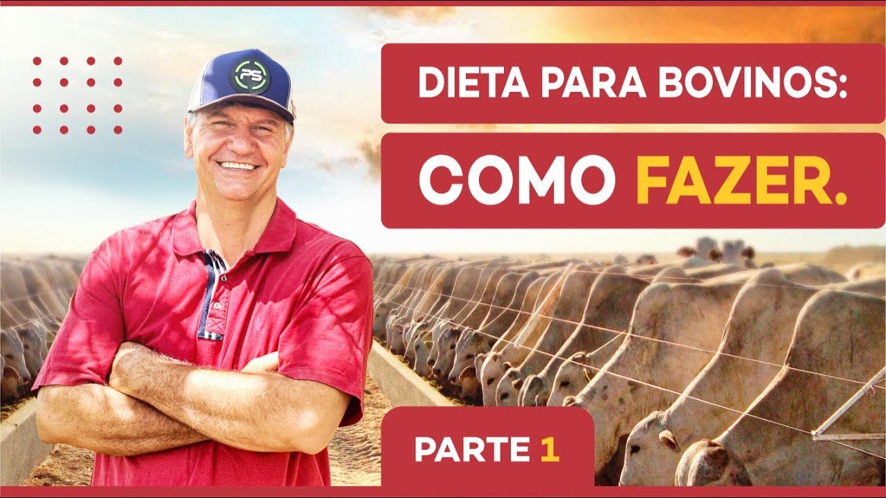 #1) Volumoso -  DIETA PARA BOVINOS - Como fazer. PARTE 1
