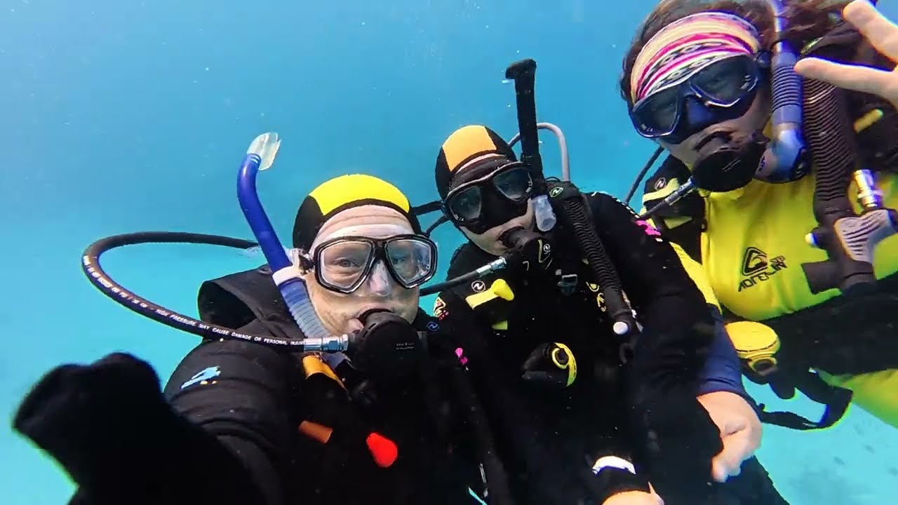 DIVING - Great Barrier Reef - Jan 2026