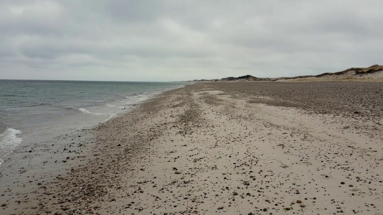 Relaxing Cold/Windy Winter Walk Along Sandy Neck Beach and Dunes