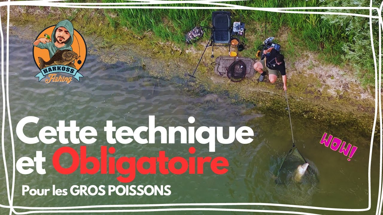 Déclipé en cas de GROS poisson - Carpe METHOD FEEDER