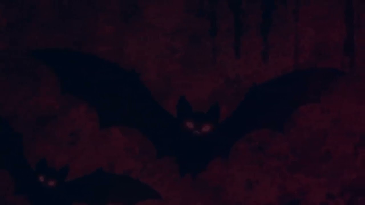 I'm not taking you Dark Horror Ambient Drone – Scary Background Sound 