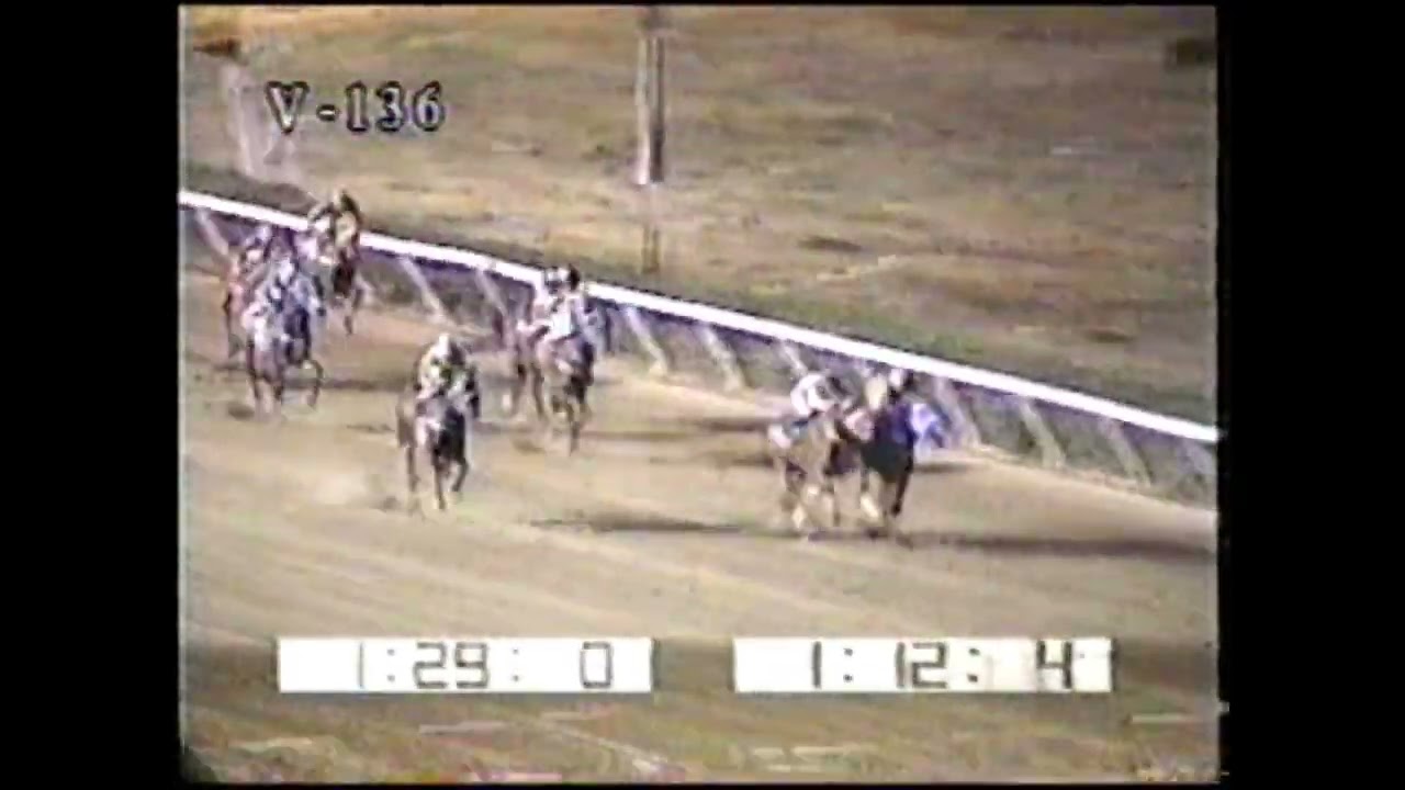 El caballo GUARAMO derrota a REY DEL MAR en tremendo final en el hipodromo de Valencia.