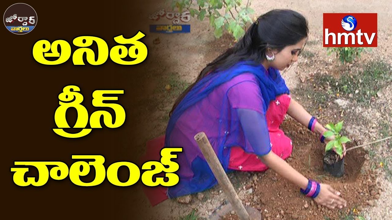 అనిత గ్రీన్ చాలెంజ్ | Jordar Anitha Green Challenge | Jordar News | hmtv