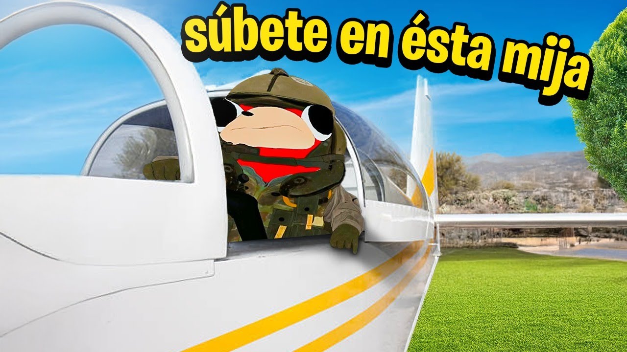 DE RATA A PILOTO PROFESIONAL