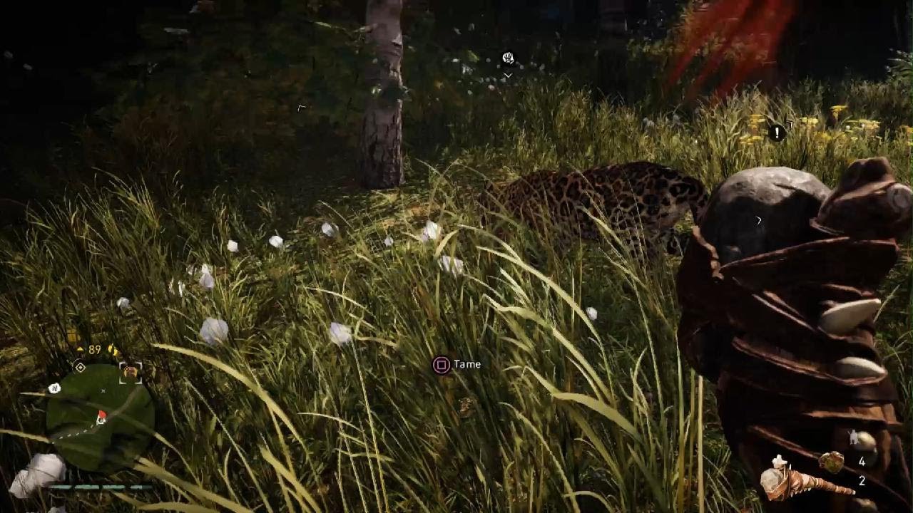 Far Cry Primal PS5