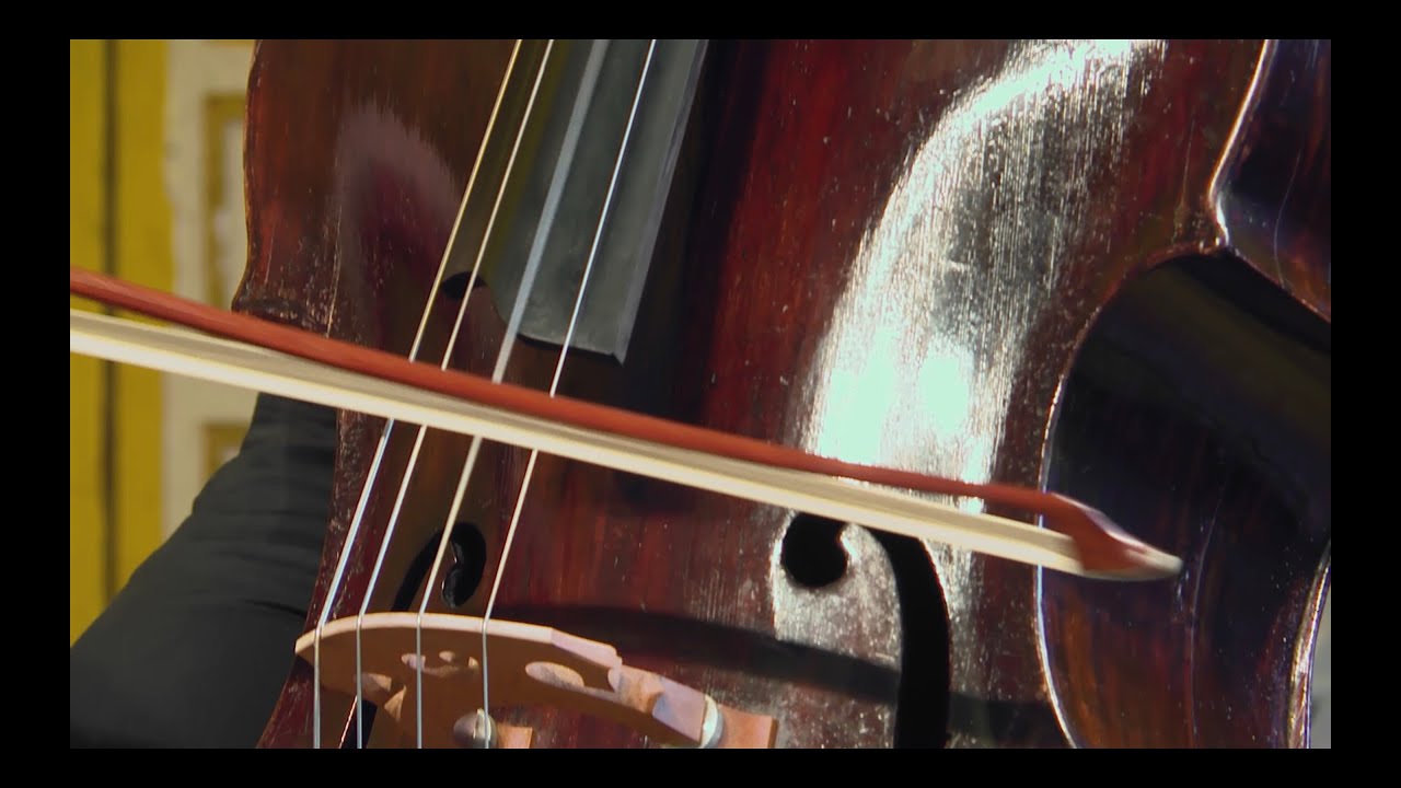 Bottesini/Breinschmid: Concerto Nr. 2 in B-Minor, Dominik Wagner, Georg Breinschmid, mvt. 1