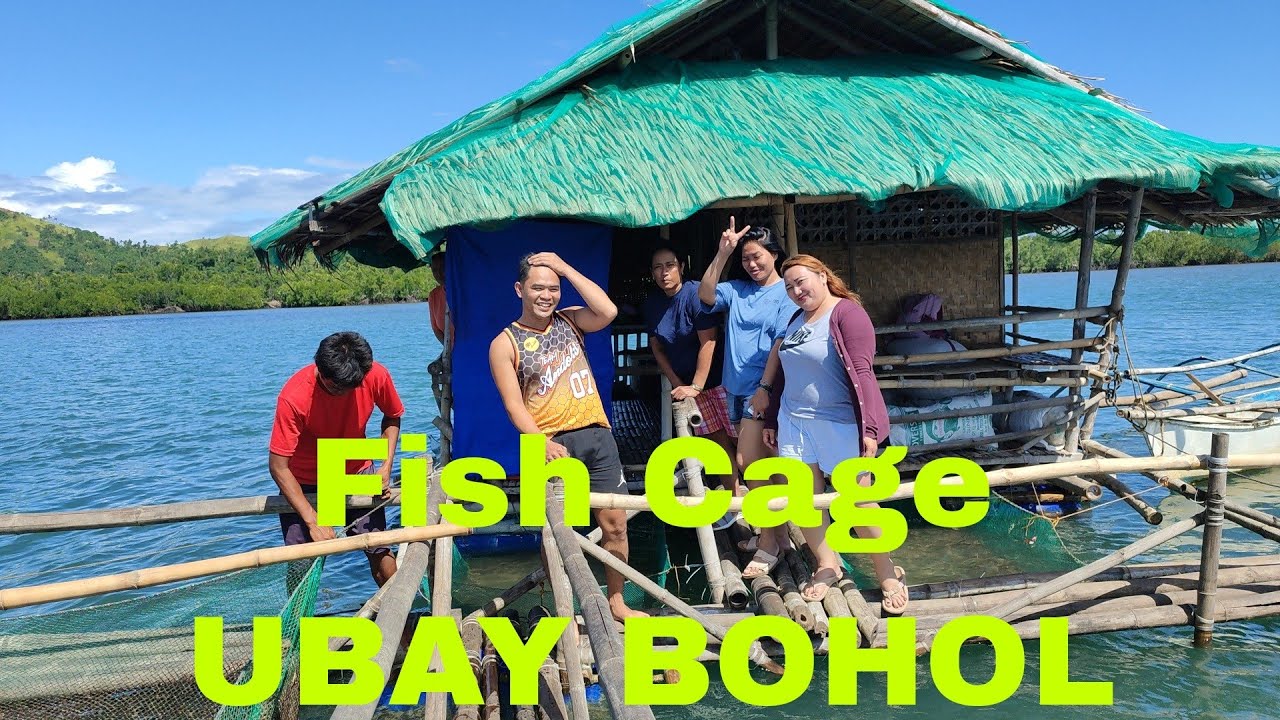 BANGUS Fish Cage BUSINESS in JUAGDAN UBAY BOHOL