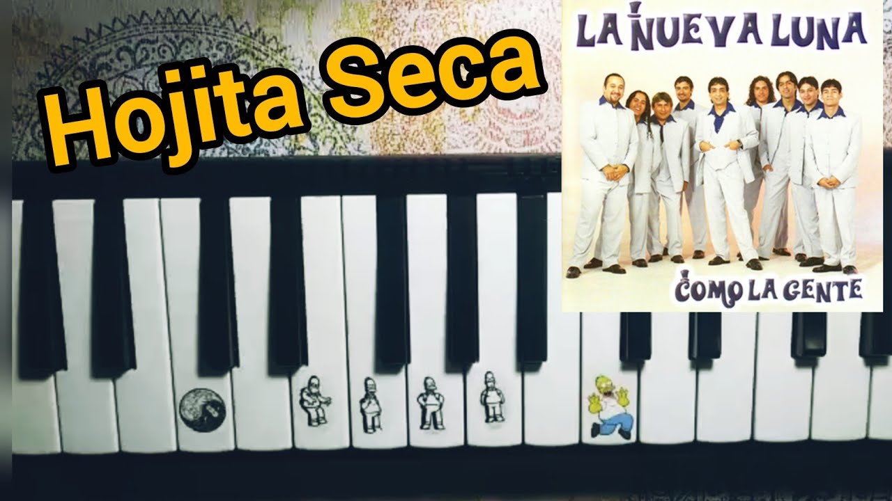 LA NUEVA LUNA - Hojita Seca  / Cover Piano Melodica
