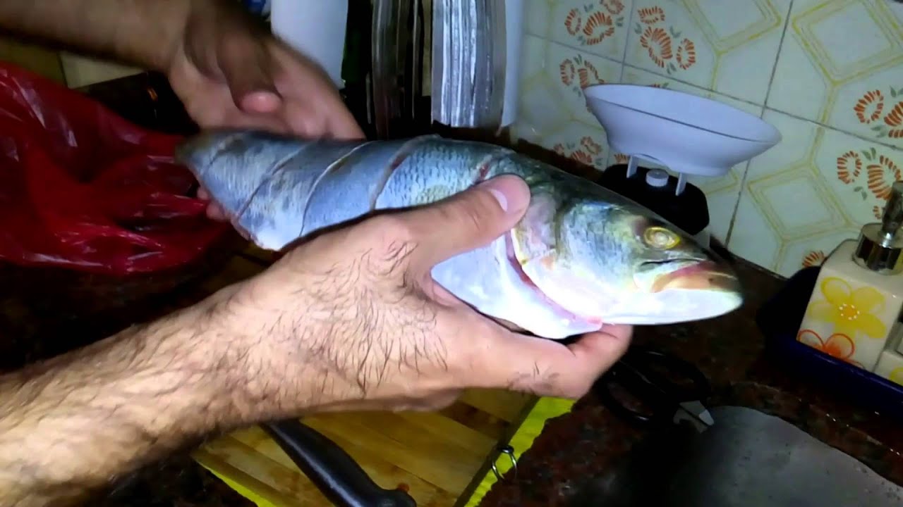 Anchoa de banco al horno