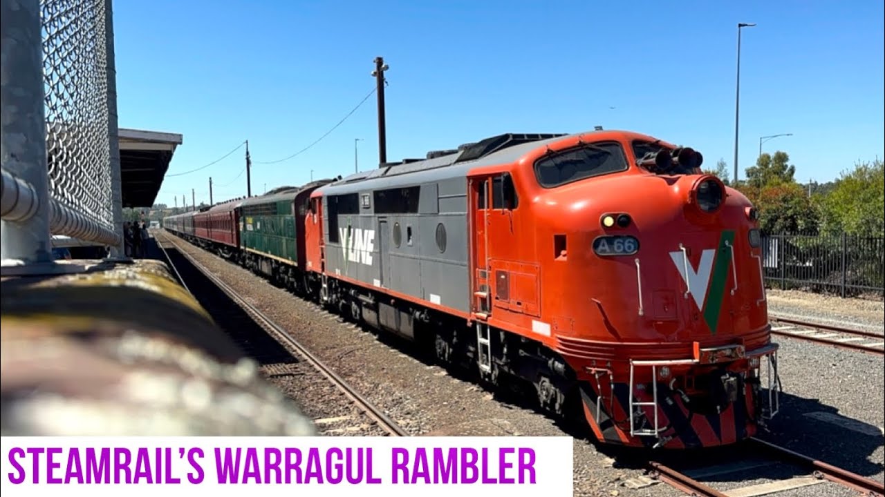 Steamrail’s Warragul Rambler! Featuring A66 & S301