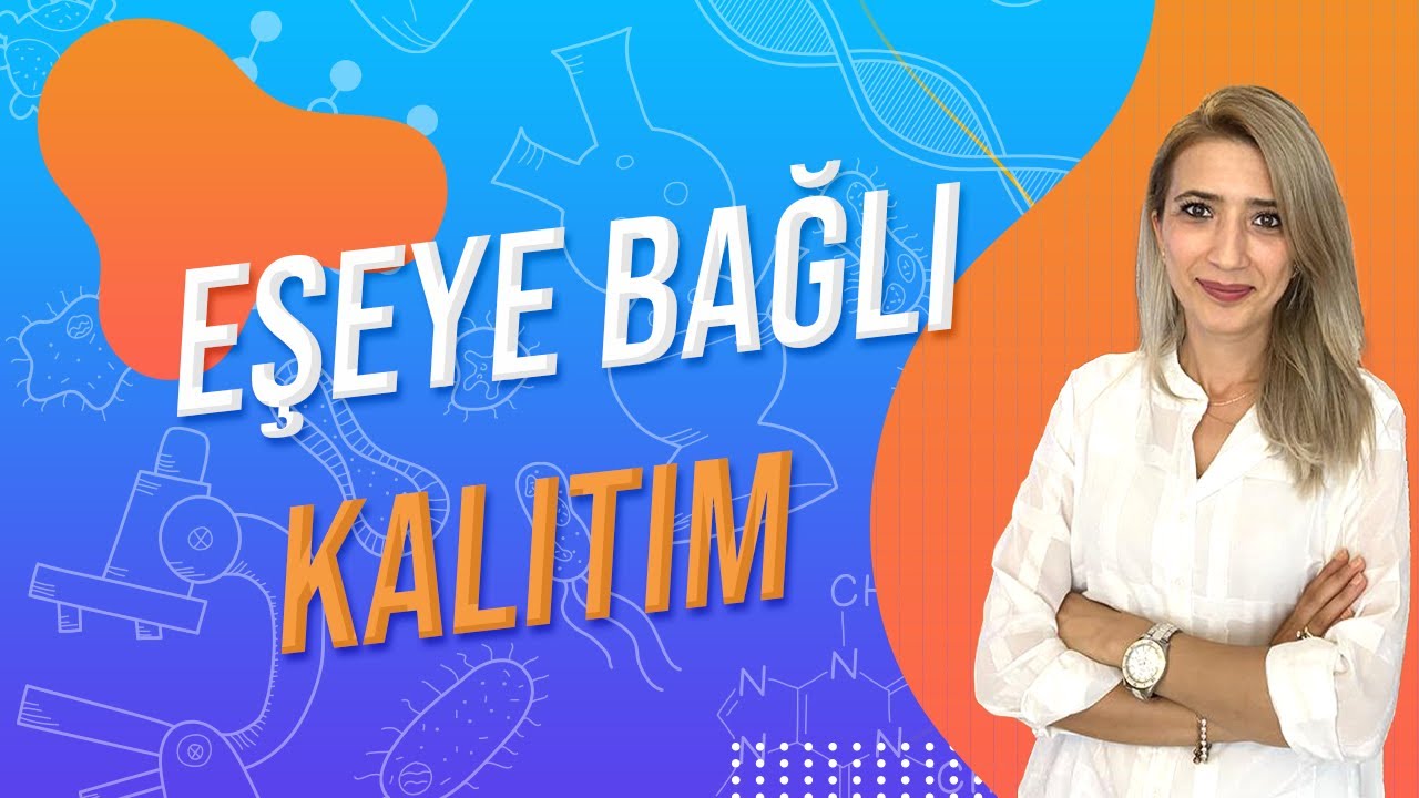 (39.DERS) EŞEYE BAĞLI KALITIM | TYT 10.SINIF l Seda Hoca Biyoloji 🤗