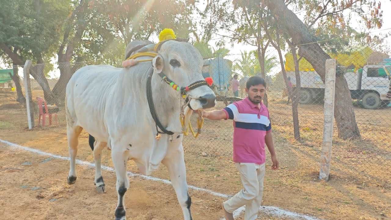 VN పల్లి మండలం ఓల్డ్ కేటగిరి విభాగం 5 వ జత