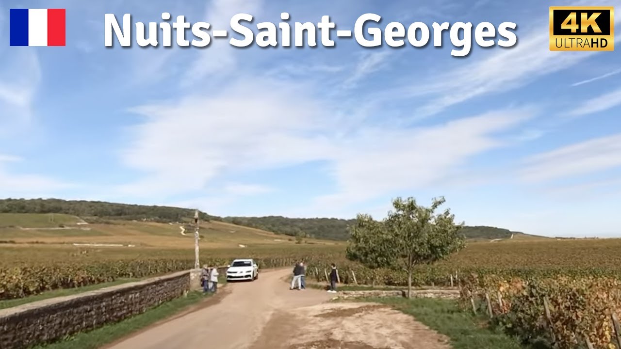 Comblanchien 🇫🇷 Nuits-Saint-Georges - Bourgogne D974