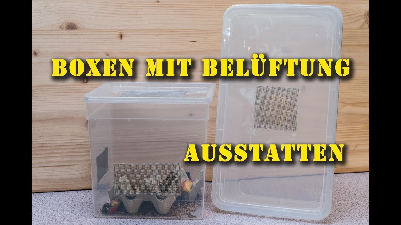 Terrariumpraxis-Tutorial: Kunststoffboxen mit Belüftung ausstatten
