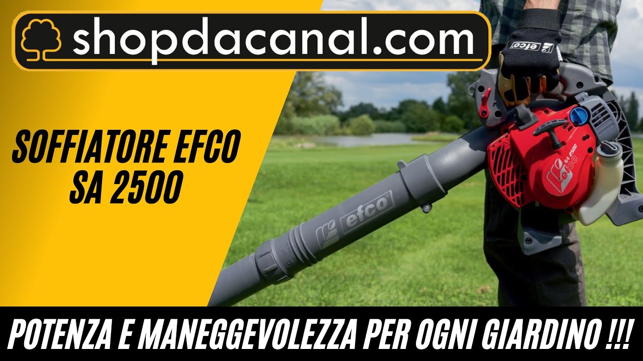 Soffiatore Efco SA 2500: Potenza e Maneggevolezza per Ogni Giardino!
