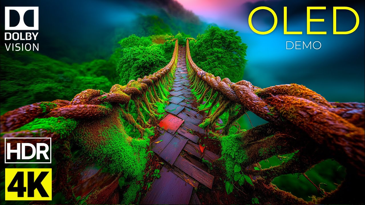 Nature in Motion OLED Demo – Pure Depth, True Colors | 4K HDR