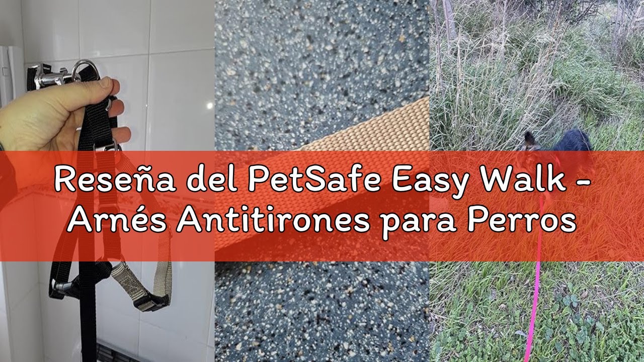 Reseña del PetSafe Easy Walk - Arnés Antitirones para Perros, 4 Puntos de Ajuste, Adiestramiento de