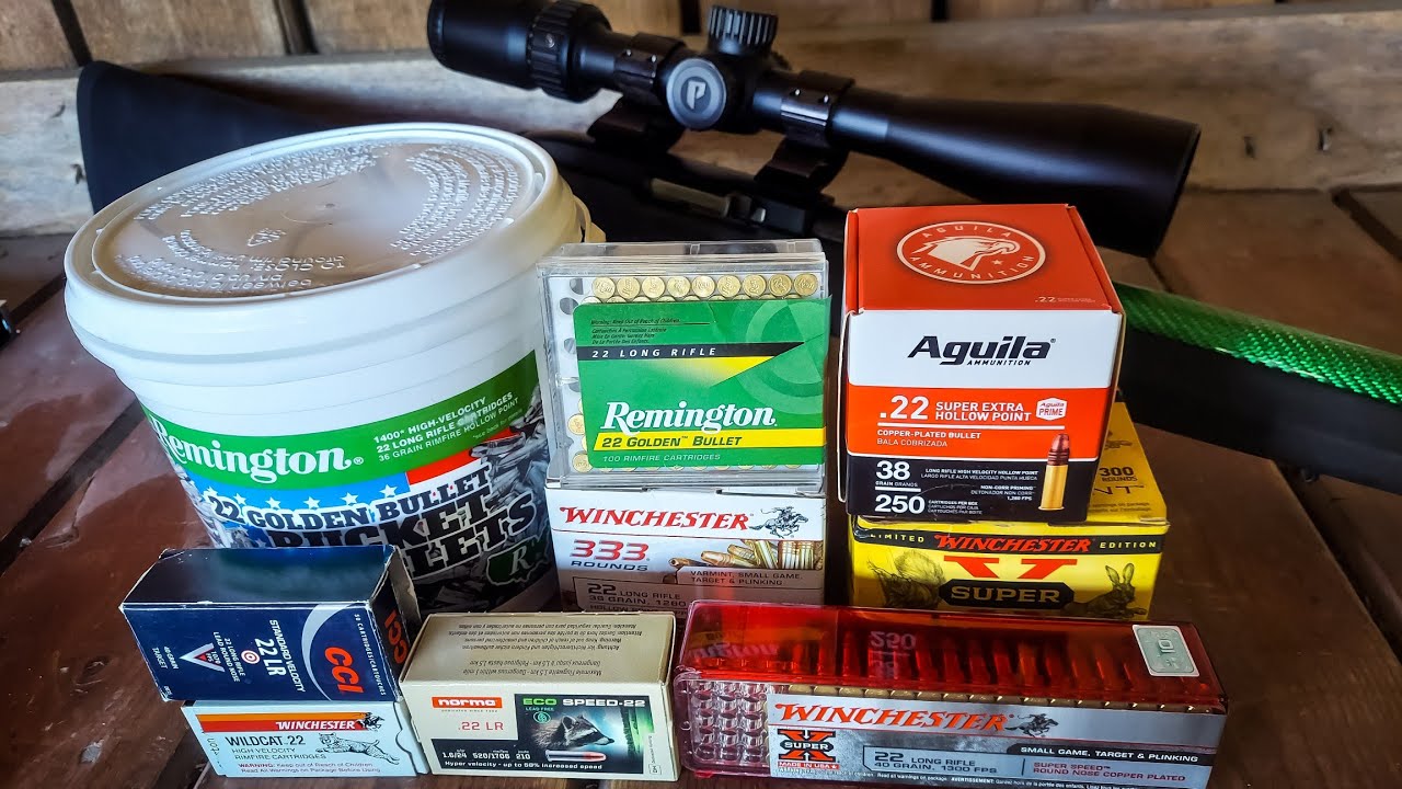 Тест патронов 22LR — мой собственный 10/22