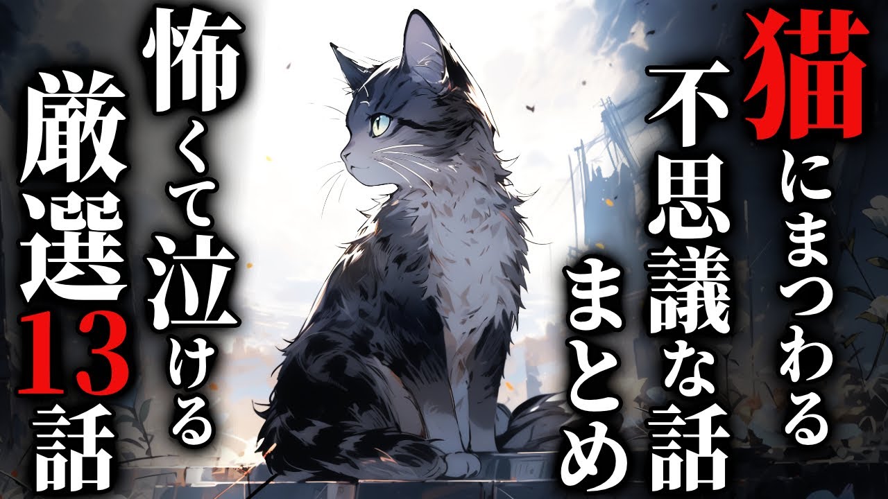 【怖い話】[猫好き必見!] 怖くて泣ける『猫の話』まとめました😺…2chの怖い話「猫にまつわる不思議な話  厳選13話」【ゆっくり怪談】