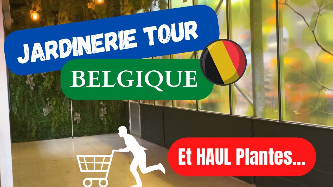 #6-Je t’emmène en JARDINERIE en Belgique..et un petit Haul Plantes 😉#plantaddict #monsteravariegata