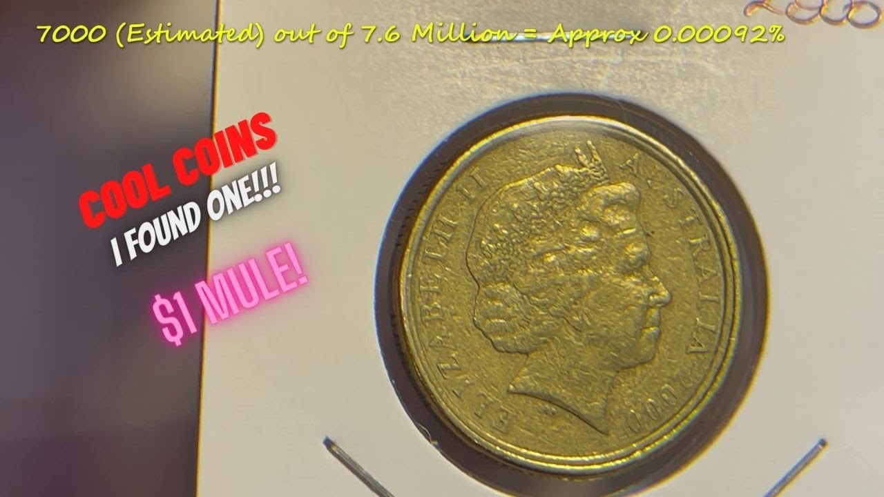 $1 Mule Coin Found!