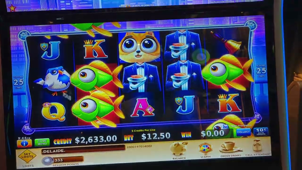 Fat Cat Fat Fortuntes - Where are all the fishes? Pokies Slots Casino 2023