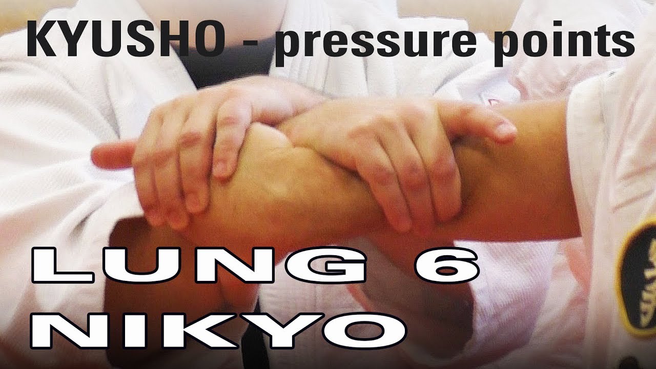 KYUSHO / DIM MAK Vitalpunkt LUNGE 6 und NIKYO - Seminar 
