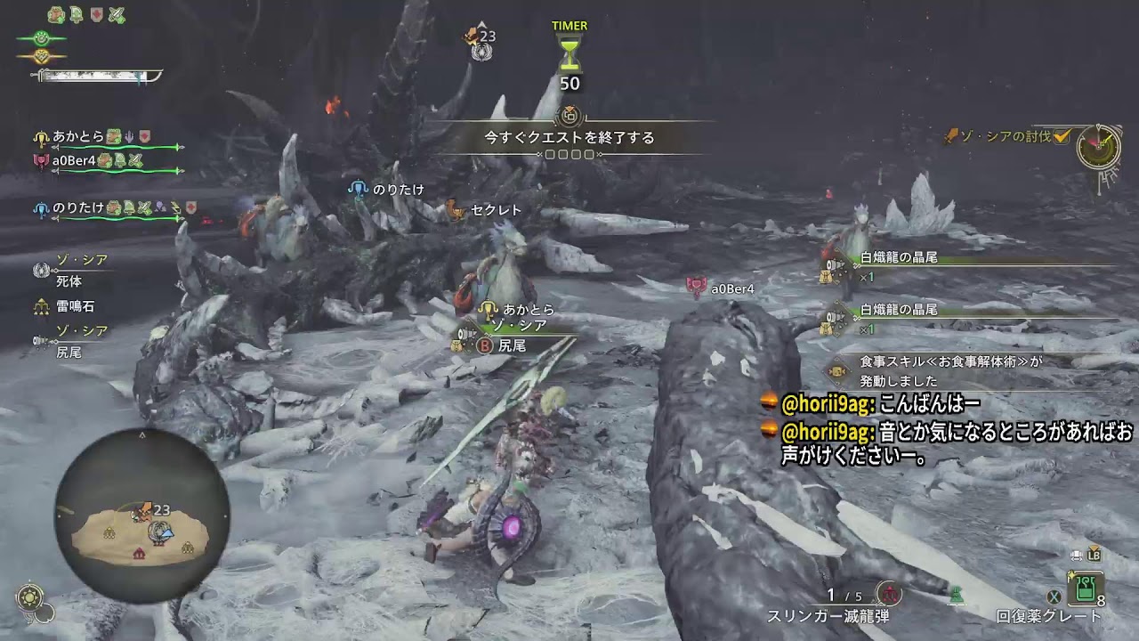 モンスターハンターワイルズやってみよー　#239