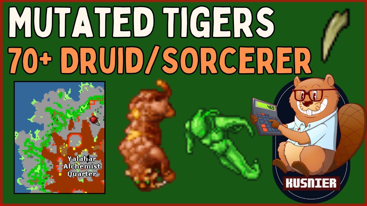 Mutated Tigers Yalahar | 70+ Sorcerer/Druid | Tibia