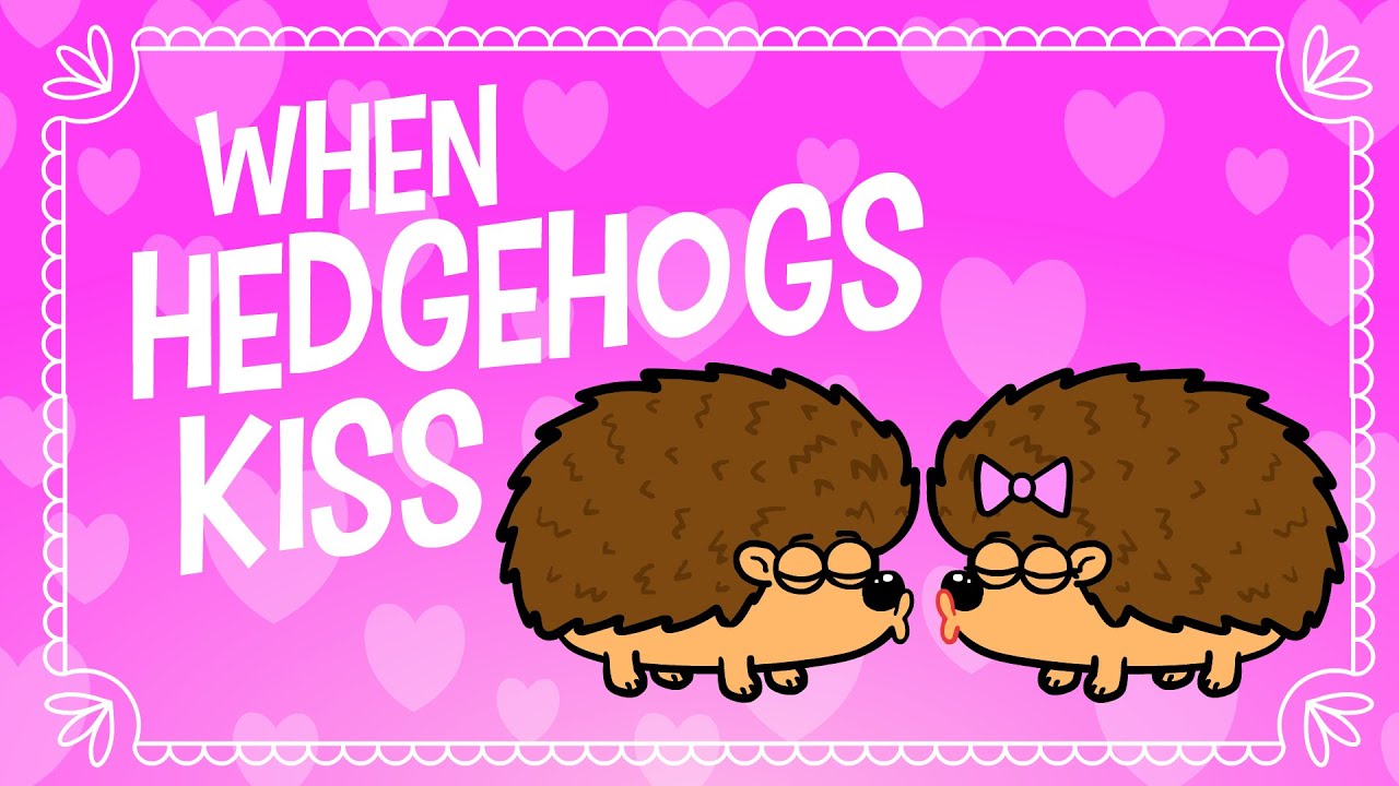 ♪♪ Funny Animal Song | When Hedgehogs Kiss | Hooray Kids Songs & Nursery Rhymes | Love