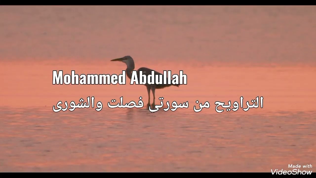 تلاوة من التراويح 