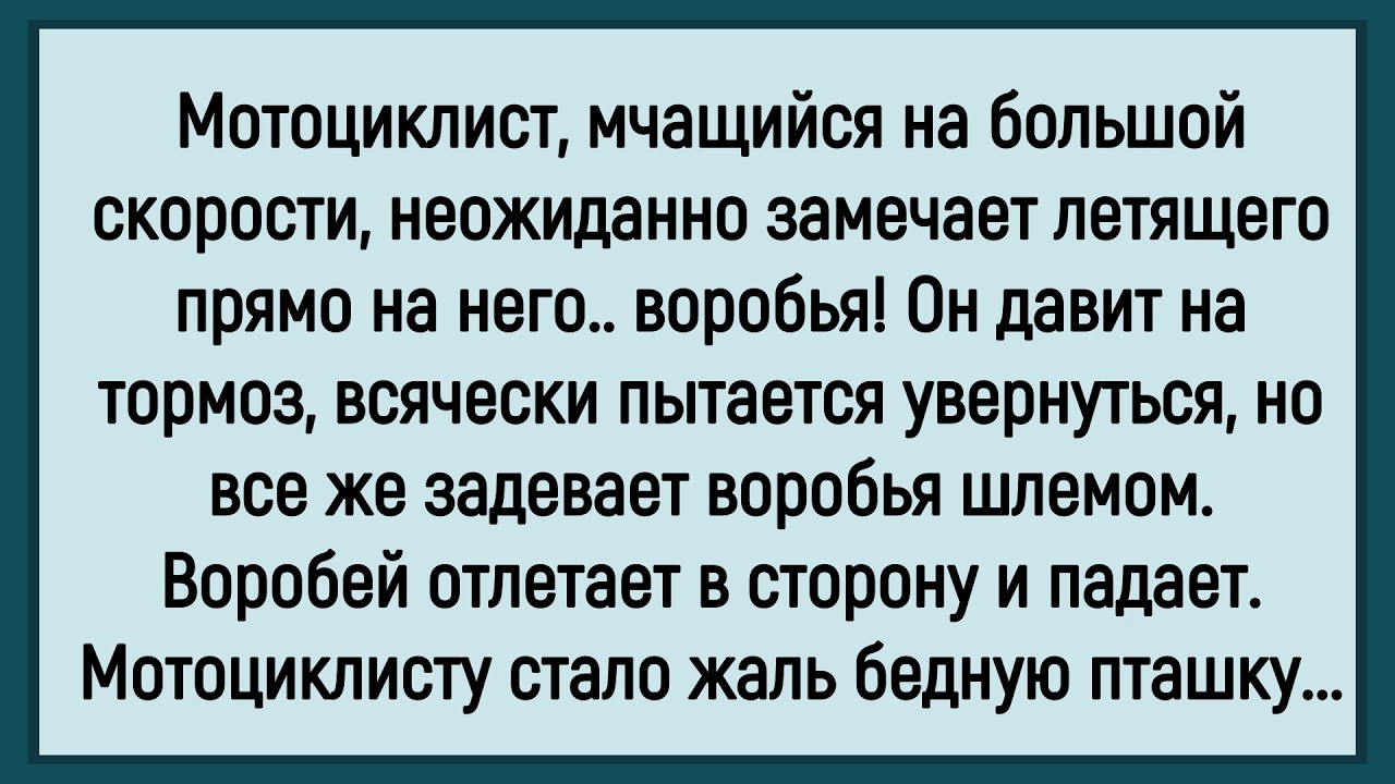 🤡Как Мотоциклист Воробья Сбил! Сборник Смешных До Слёз Анекдотов! Юмор! Позитив!