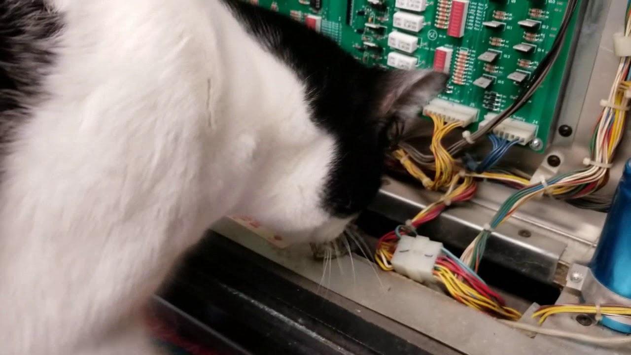 Gorgar: Lamp Matrix Tests.  Firepower: Why It Failed