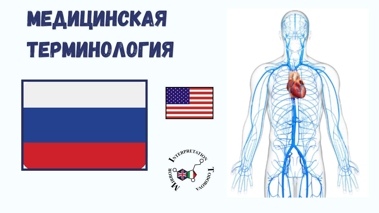 #3 BTLPT Русско-английская медицинская терминология для переводчиков BTLPT/части тела/языковая жизнь
