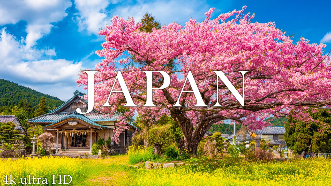 Japan 4K in Spring Adventure: Cherry Blossoms, Himeji Castle - Relaxation Film With Calming Music