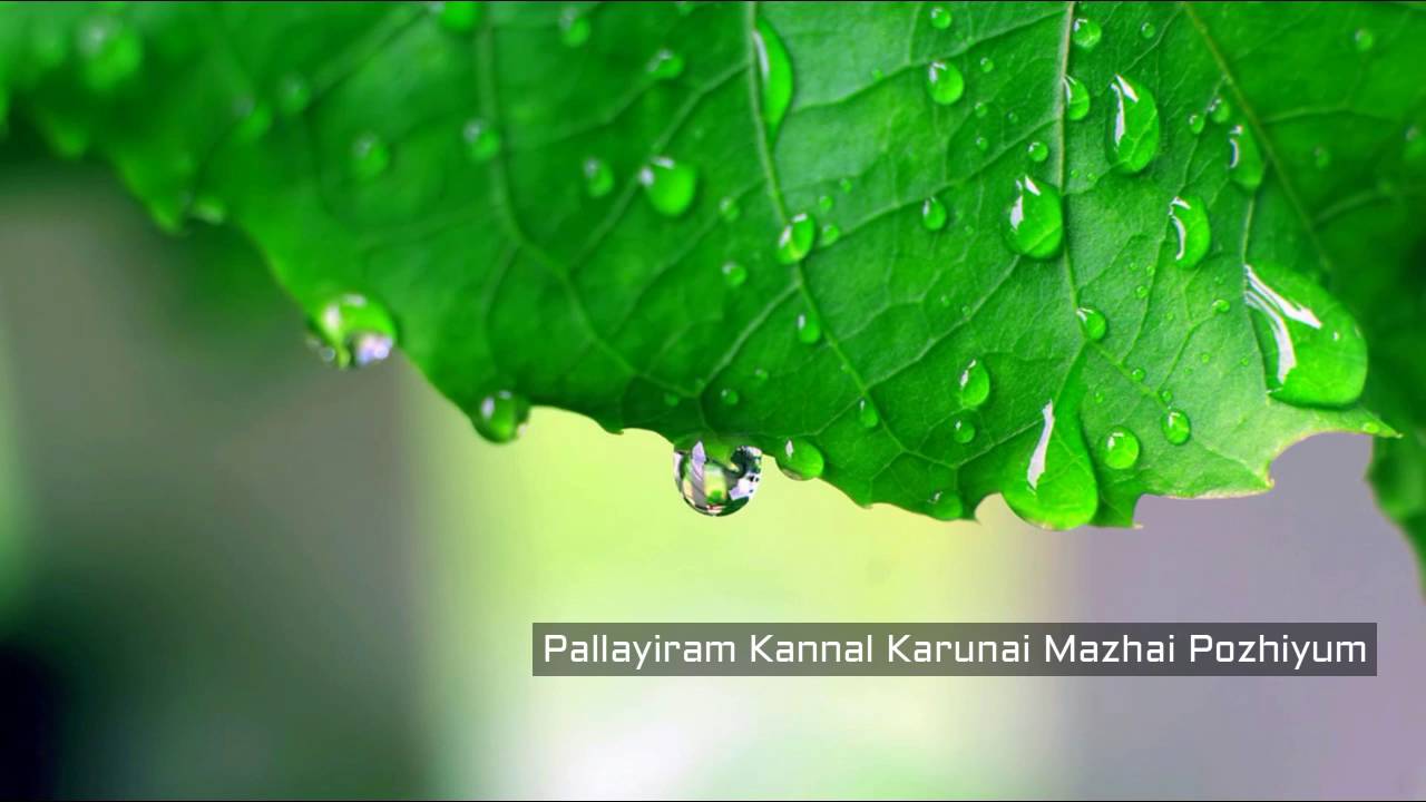 Pallayiram Kannal Karunai Mazhai Pozhiyum (Tamil Devotional Song)