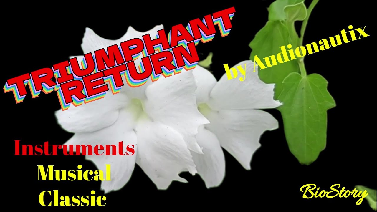 TRIUMPHANT RETURN by Audionautix [Royalty Free Music]