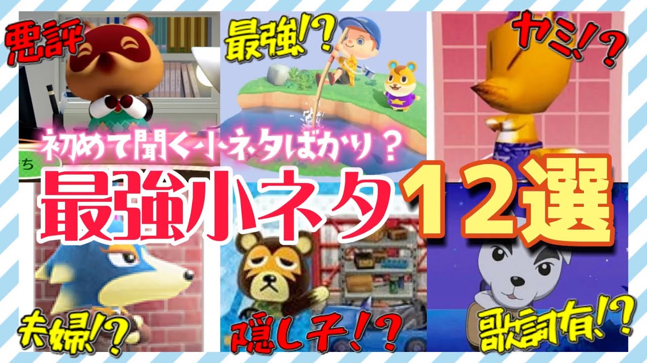【あつ森 小ネタ】あつ森最強小ネタ12選！part5 初耳な小ネタが満載！最後には未公開な小ネタも、、【あつまれどうぶつの森】