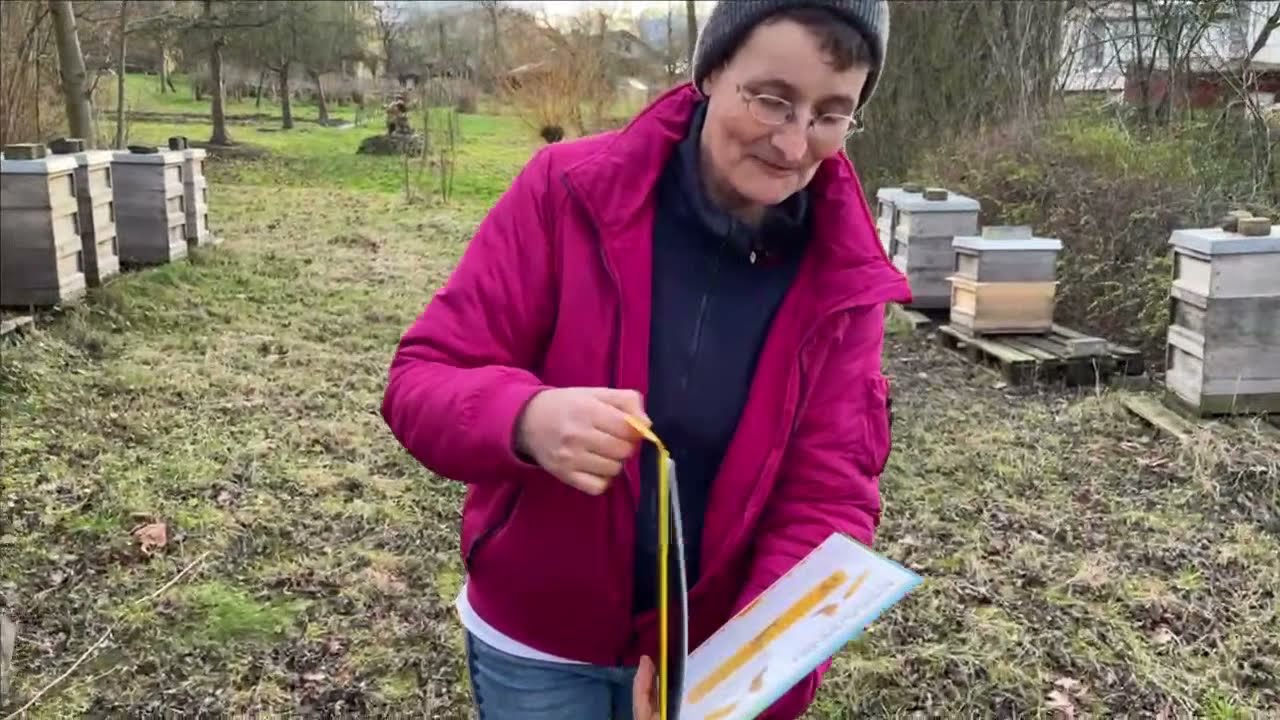 Bücherskorpion gefunden! - Jubiläumsausgabe - Live von Pias Bienenstand - 01.01.22