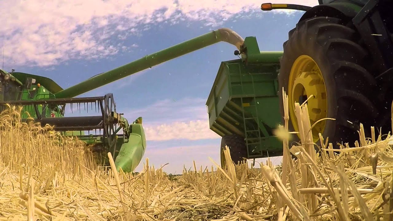 wulyaling farms 2015 harvest