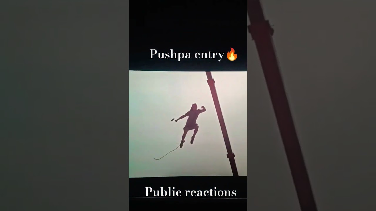 Pushpa entry scene public reaction theatre experience  #pushpa2 #pushpa #alluarjun #rashmikamandanna