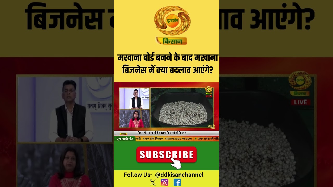 Sach Ke Saath | मखाना बोर्ड बनने के बाद मखाना बिजनेस में क्या बदलाव आएंगे? | Makhana Board |DD Kisan