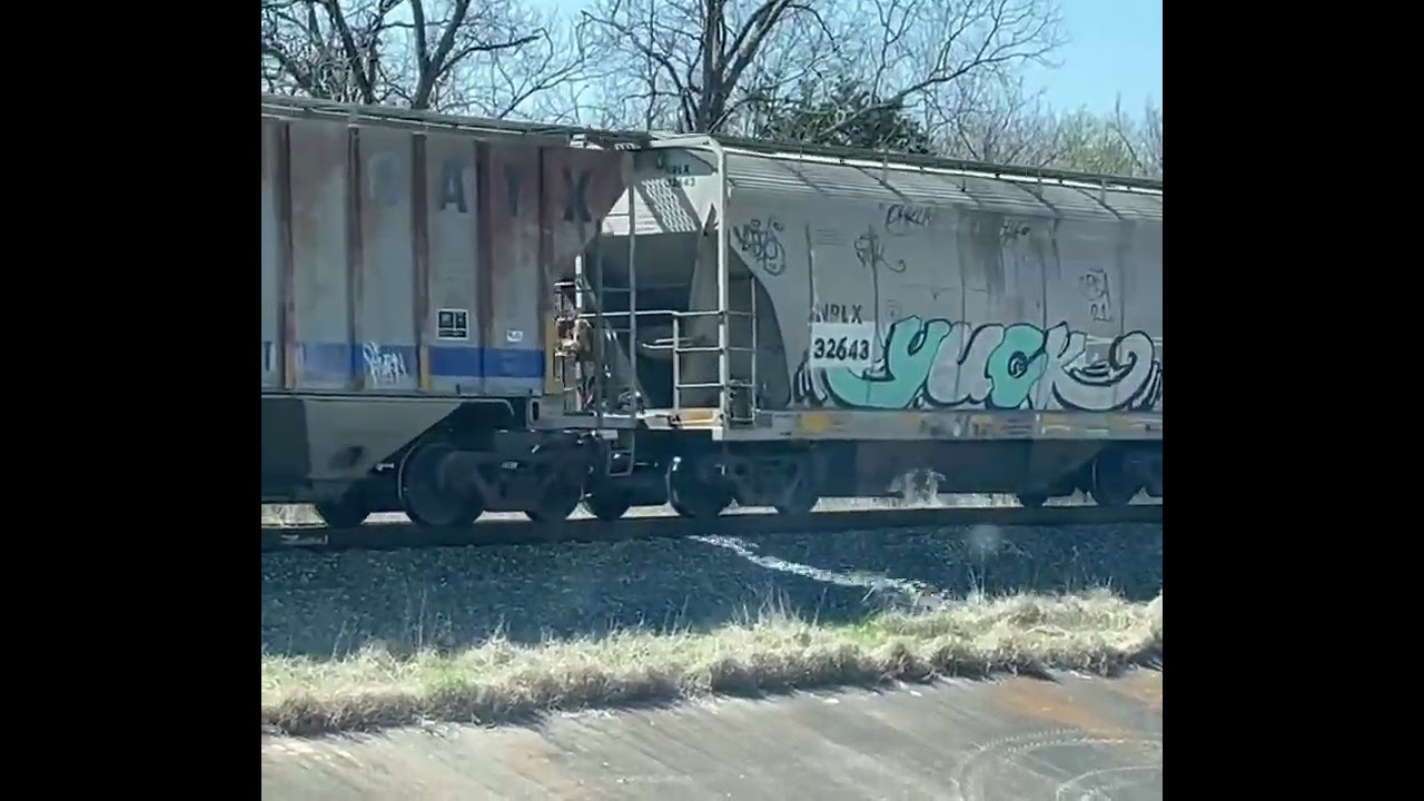 Un bonito recorrido en el tren
