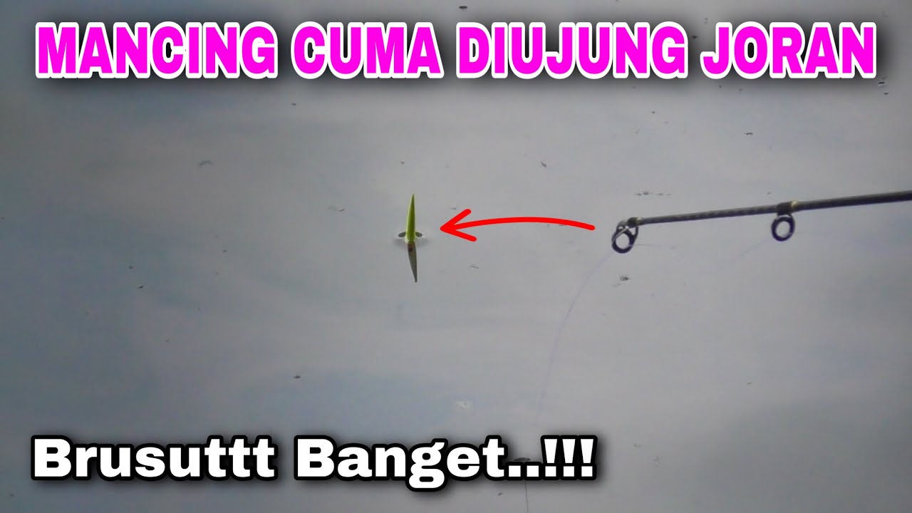 Umpan PRIMADONA Gacor Banget Babon Rame Makanin Di Pemancingan Bas Fishing Depok