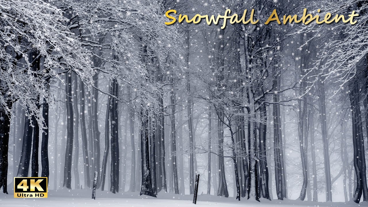 Snowfall Ambient | Winter Sleep No Music | Forest Snowfall 4K