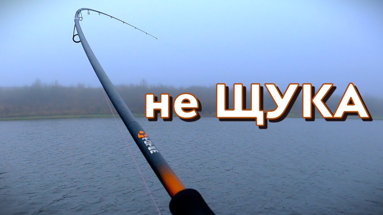 В Листопаді ЦЯ РИБА мені ще не клювала. Ловля НА СПІНІНГ