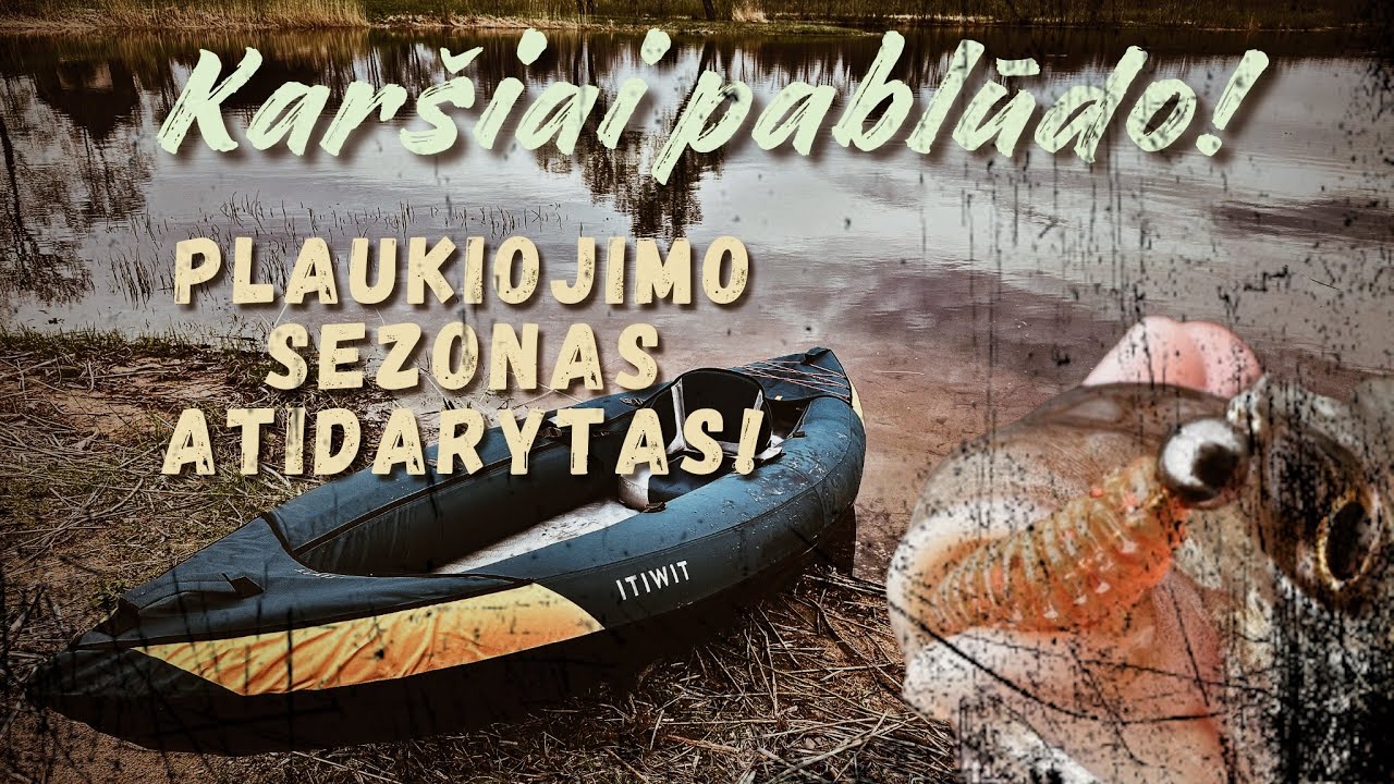 Karšių žvejyba avižadrebiu iš baidarės, na ir keli žuveliokai įsipainioję tarp jų.